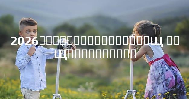 2026�ʺ���֤����������Щ ��Щ